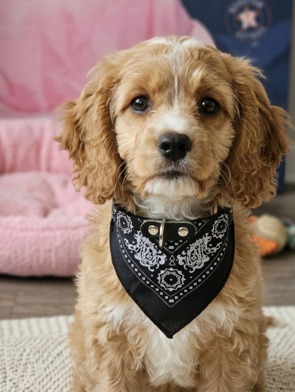 Bandana Collar For Dog Puppy Pet Faux Leather Adjustable Closure. NEW